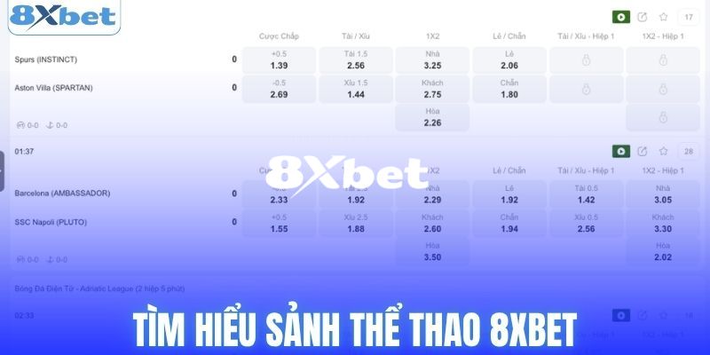 Tổng quan về sảnh cược thể thao 8XBET